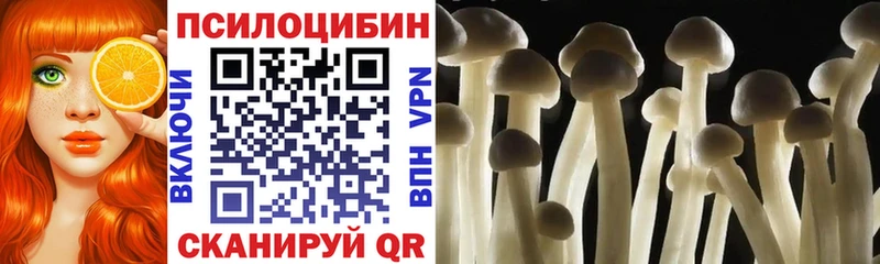 Псилоцибиновые грибы Psilocybine cubensis  Пойковский 